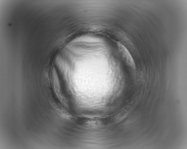 X0000075340415200609292040