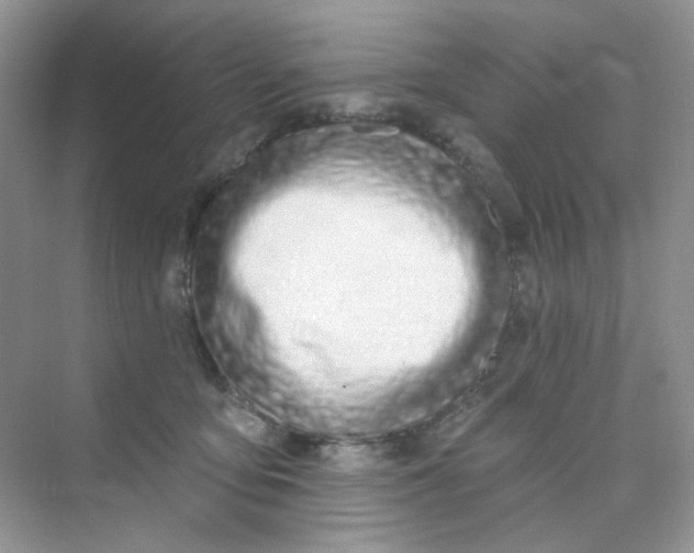 X0000075340419200609292040