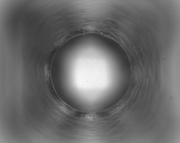 X0000075340420200609292040
