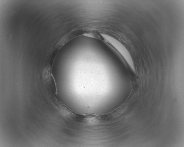 X0000075340425200609292040