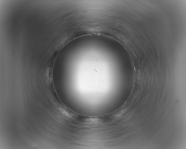 X0000075340428200609292040