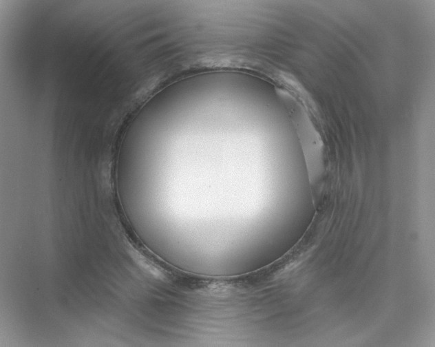 X0000075340441200609292039