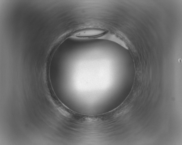 X0000075340442200609292039