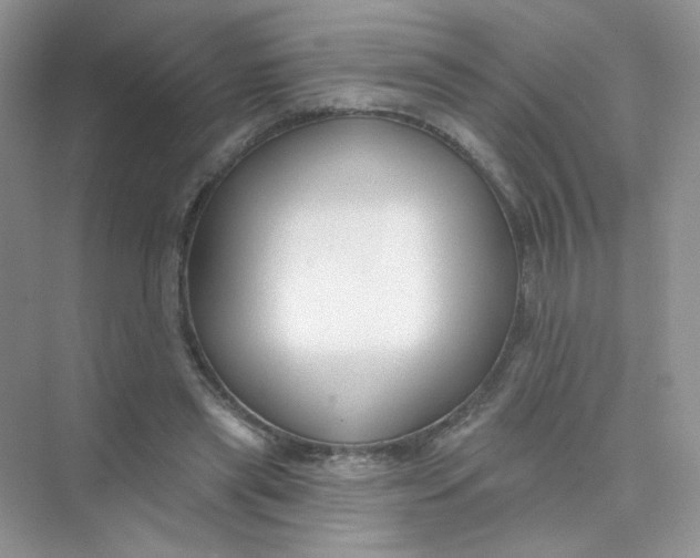 X0000075340445200609292039