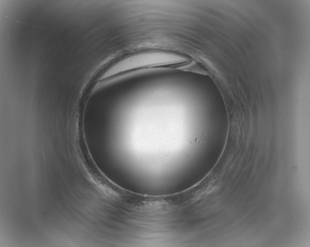 X0000075340446200609292039