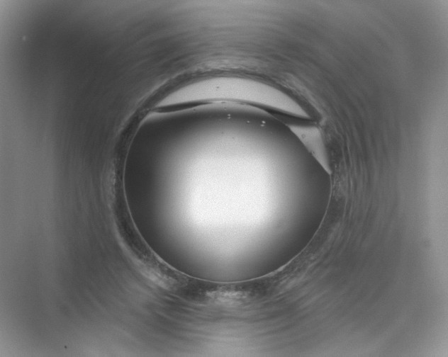 X0000075340448200609292039