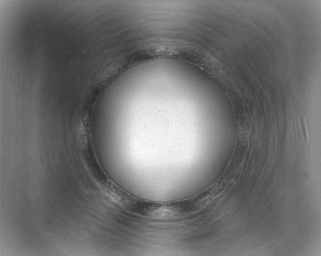 X0000075340460200609292039