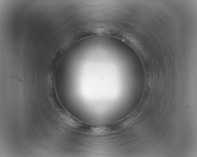 X0000075340461200609292039
