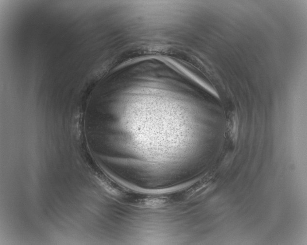 X0000075340462200609292039