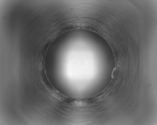 X0000075340464200609292039