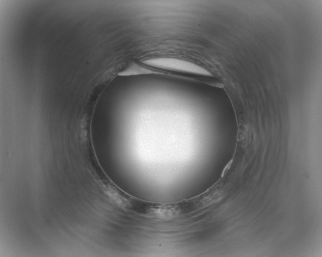 X0000075340466200609292039