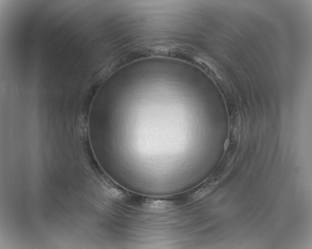 X0000075340467200609292039