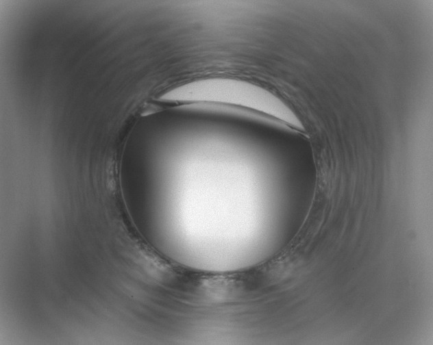 X0000075340470200609292039