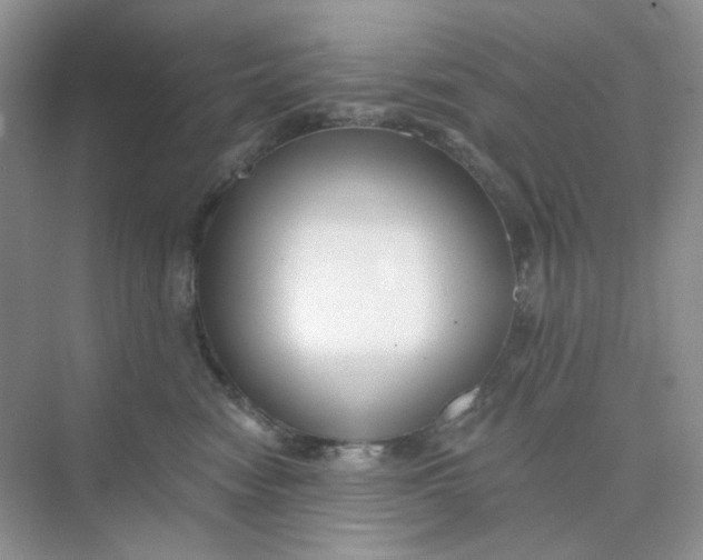 X0000075340474200609292039