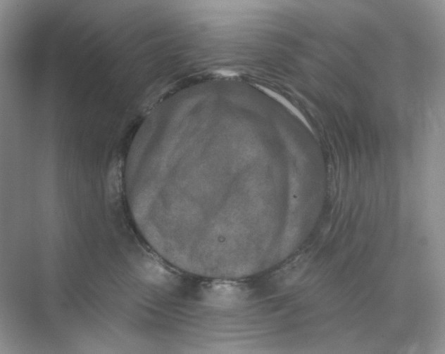 X0000075340475200609292039
