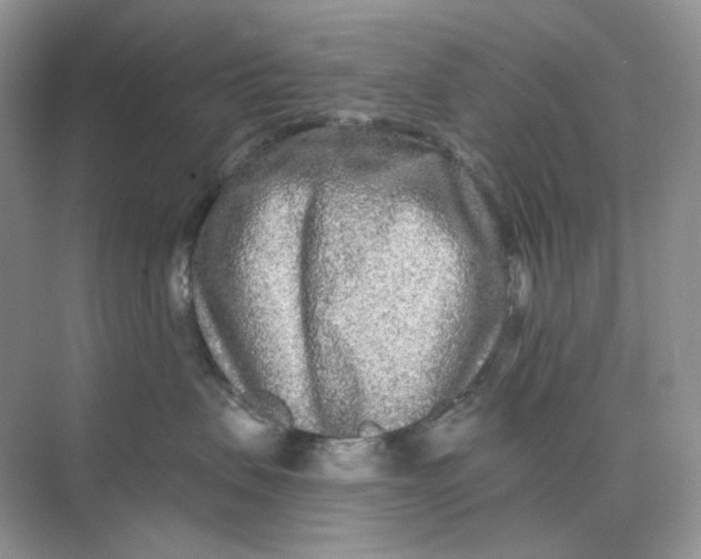 X0000075340479200609292039