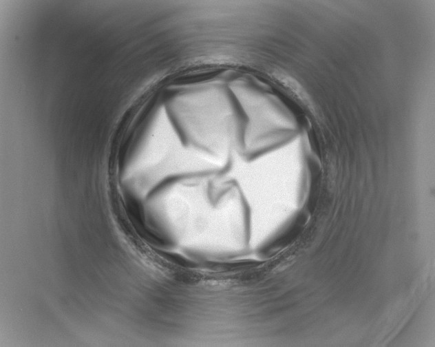 X0000075340482200609292039
