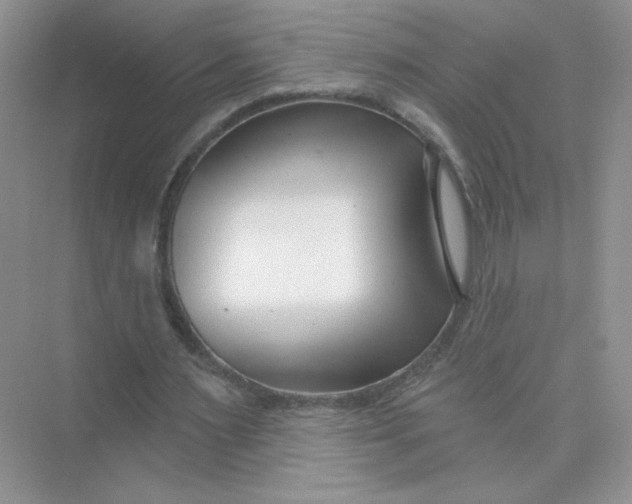 X0000075340483200609292039