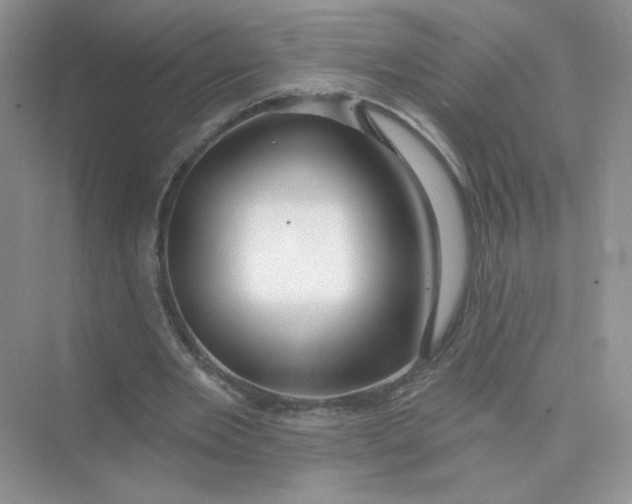 X0000075340485200609292039
