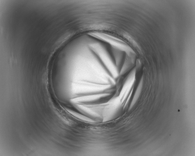 X0000075340486200609292039