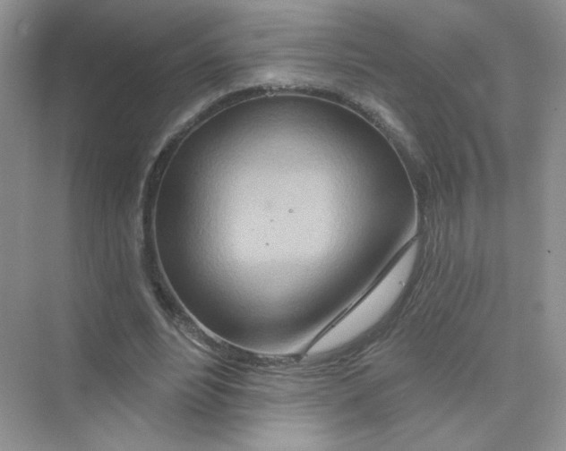 X0000075340488200609292039