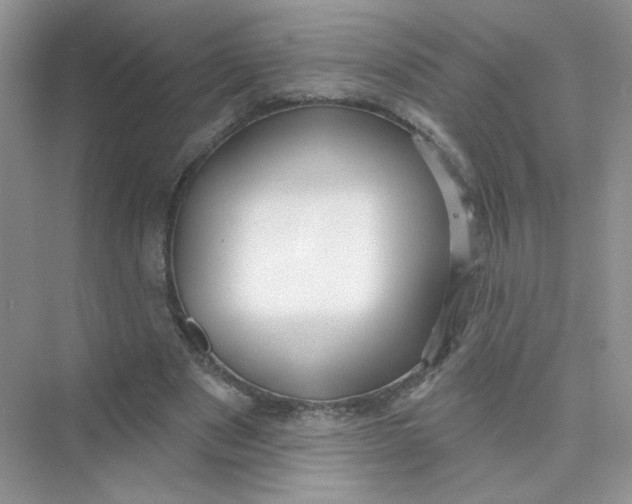 X0000075340489200609292039