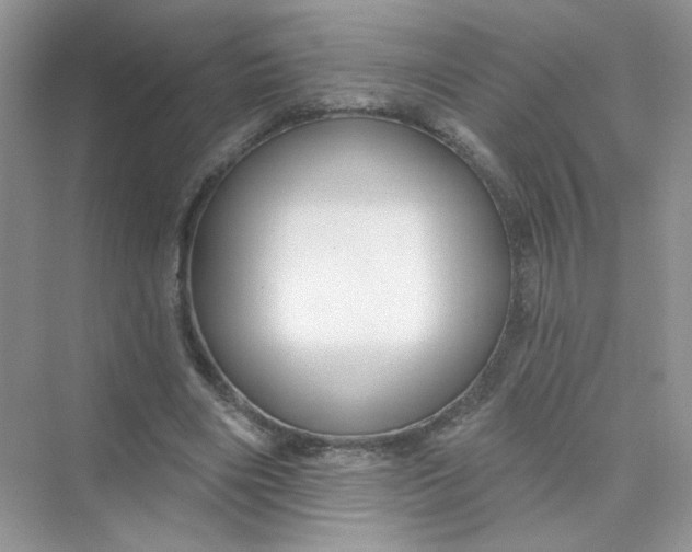 X0000075340490200609292038