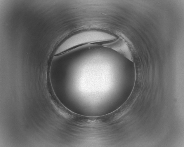 X0000075340493200609292038