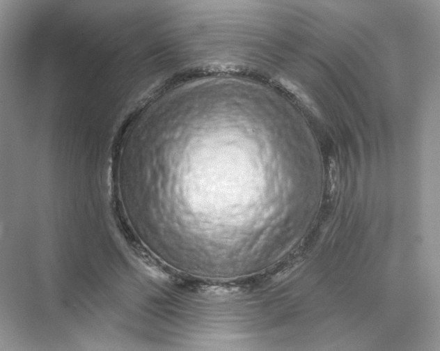 X0000075340494200609292038