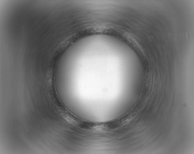 X0000075340505200609292038