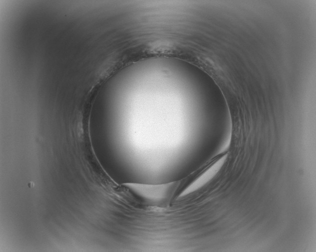 X0000075340508200609292038