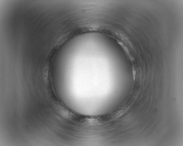 X0000075340509200609292038