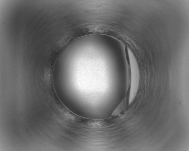 X0000075340513200609292038