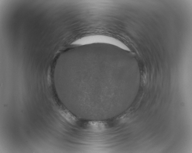 X0000075340520200609292038