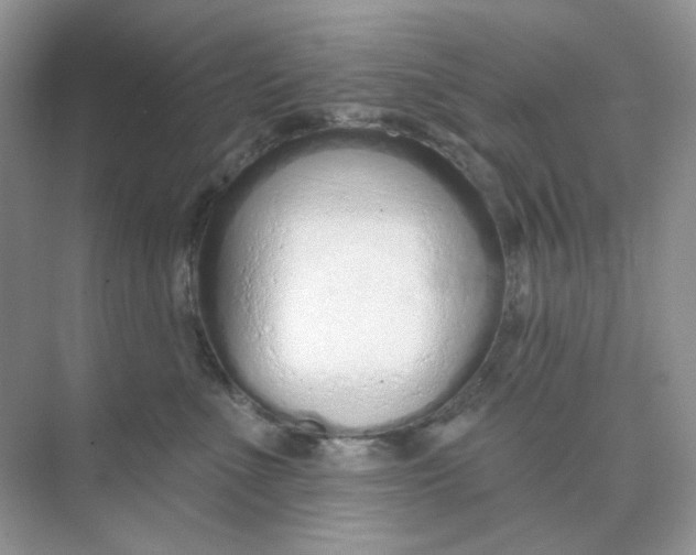 X0000075340523200609292038