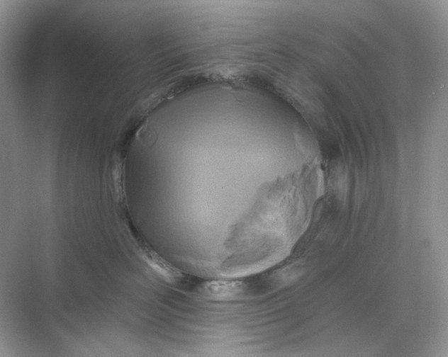 X0000075340526200609292038