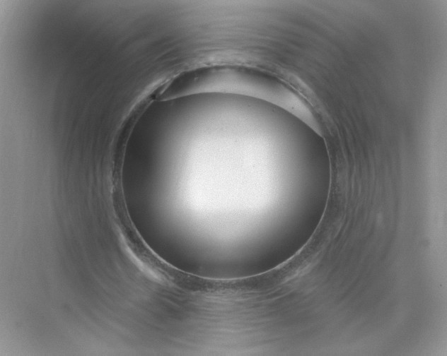 X0000075340530200609292037