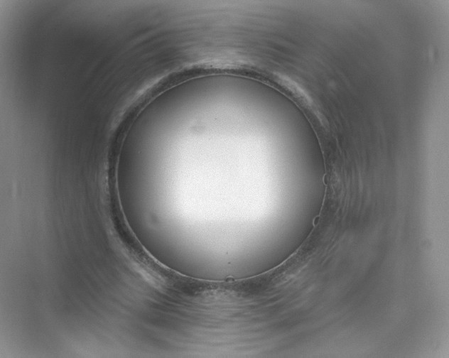 X0000075340535200609292037