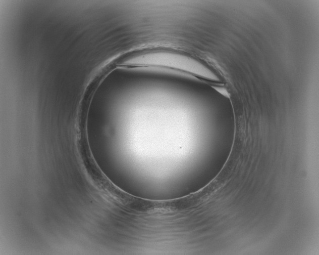 X0000075340536200609292037