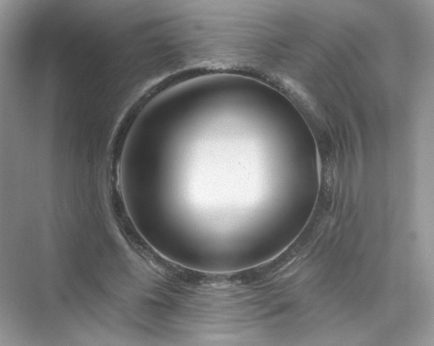 X0000075340540200609292037