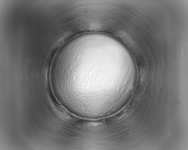 X0000075340542200609292037