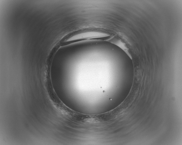 X0000075340544200609292037