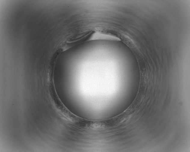 X0000075340546200609292037