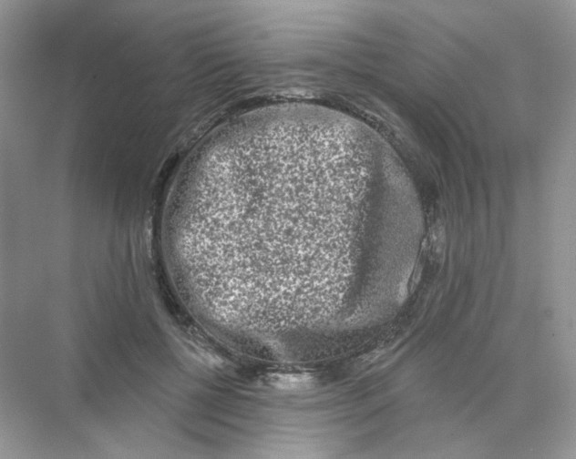 X0000075340552200609292037