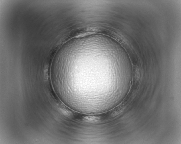 X0000075340557200609292037