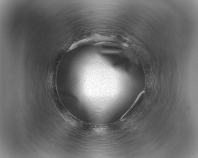 X0000075340560200609292038