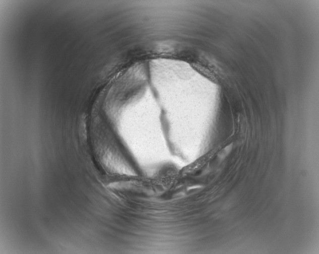 X0000075340562200609292038