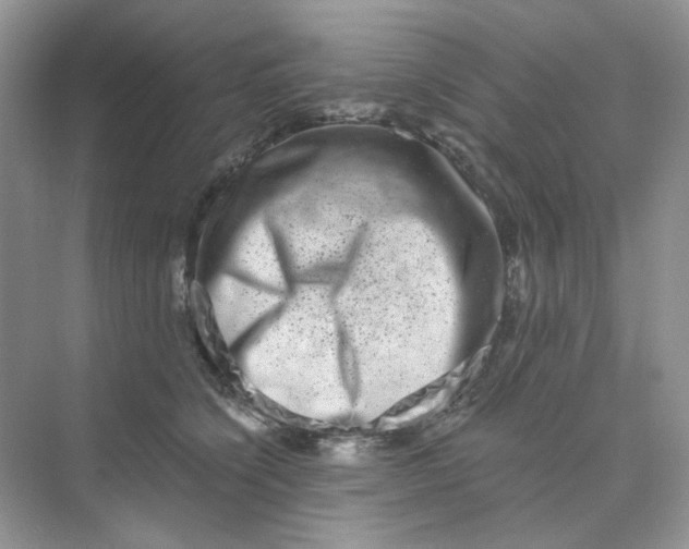 X0000075340564200609292038