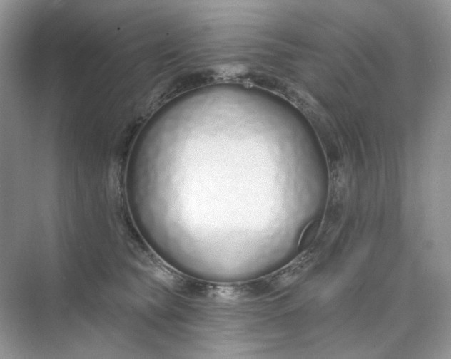 X0000075340565200609292038