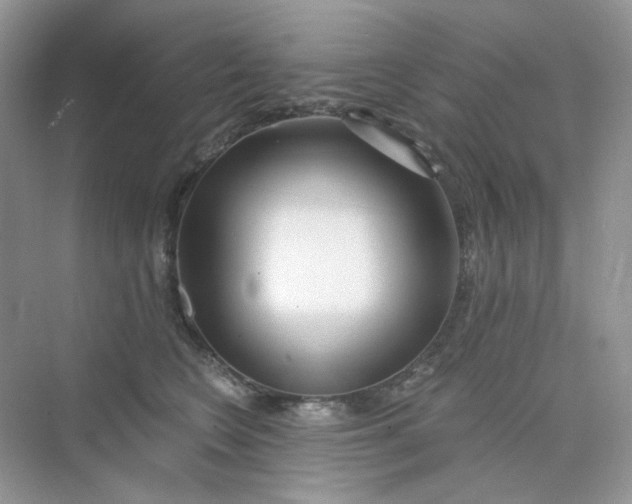 X0000075340566200609292038